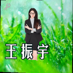 王振宇